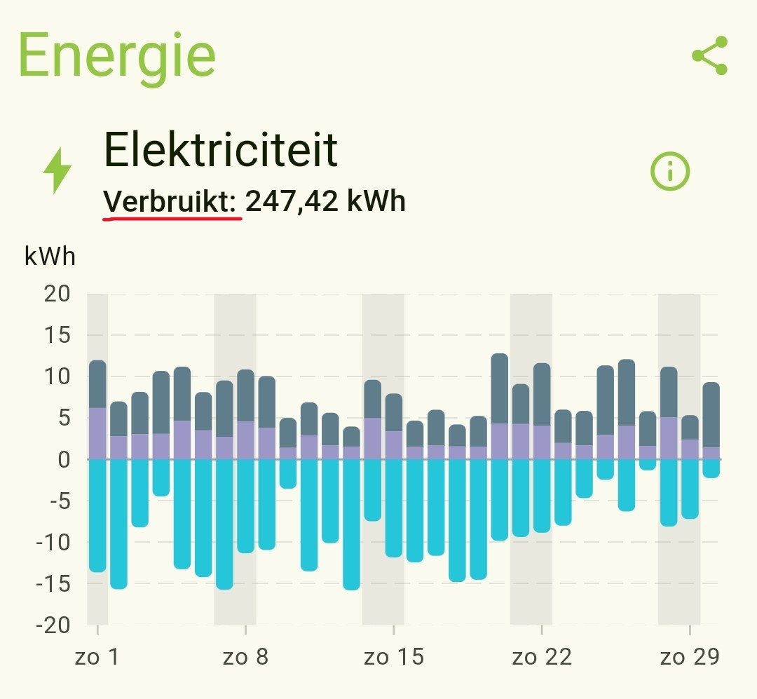 elektra inzicht b.jpg