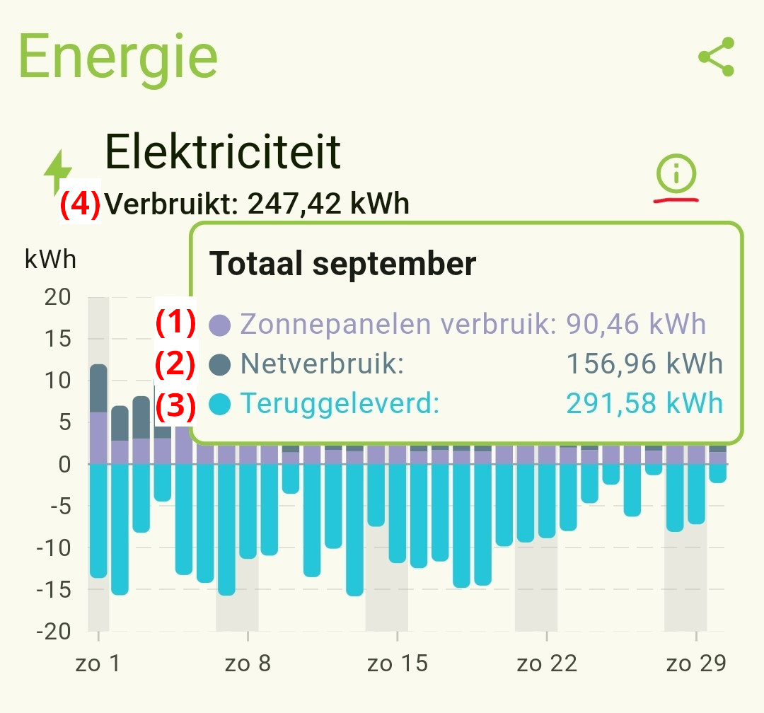 elektra maand inzicht.jpg